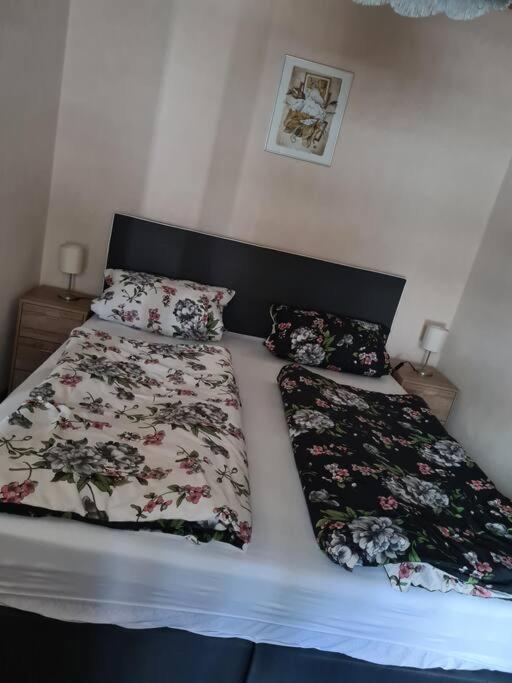 Gemuetliche Ferienwohnung Am Waldrand Elgersburg Esterno foto