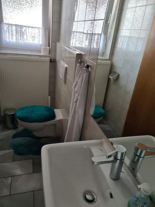 Gemuetliche Ferienwohnung Am Waldrand Elgersburg Esterno foto